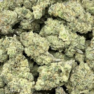 GOLIATH GLUE (EXOTIC SATIVA DEAL) - Image 1